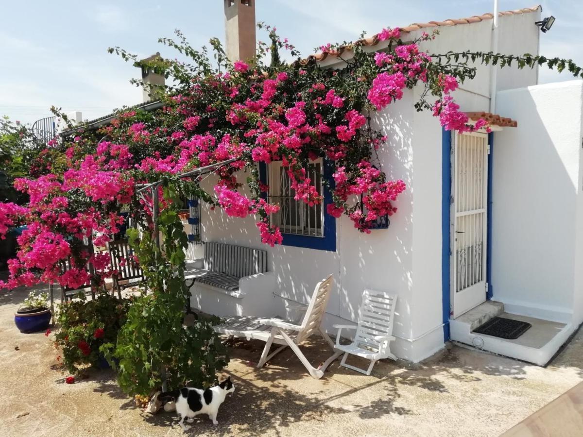 Finca La Joya Torreblanca Esterno foto