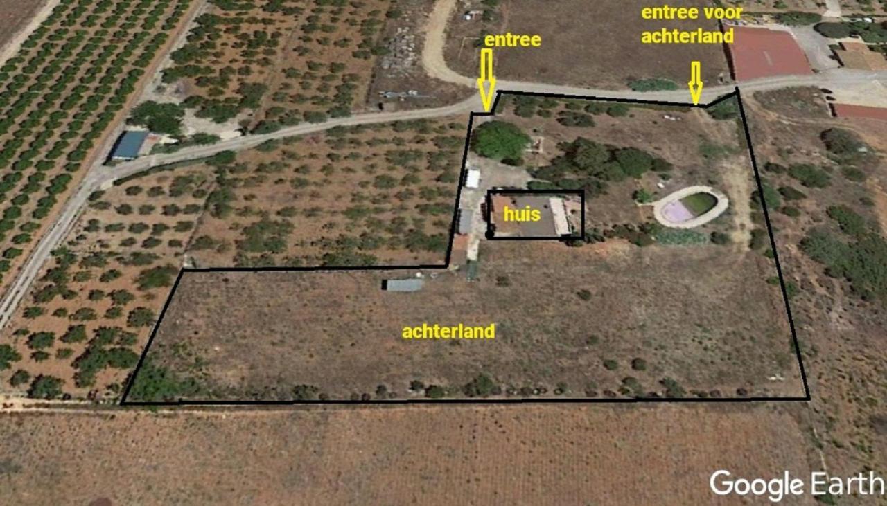 Finca La Joya Torreblanca Esterno foto